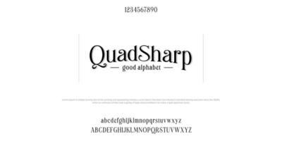 Serif de secuencia de comandos de paquete de fuentes personalizadas de quadsharp. ilustración vectorial alphaber vector