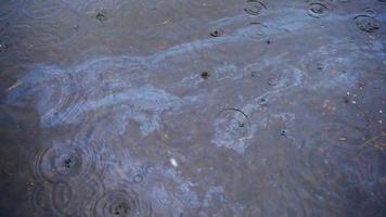 huile au ralenti et déchets circulant dans une flaque d'eau polluée