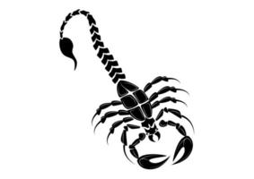 Black scorpion isolated on white background. Vector scorpio sign