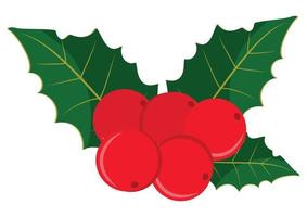 Cranberry with leaves on transparent background. Vector Illustration of Cranberry with leaves