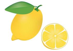 Clipart Realistic Lemon and Half of Lemon vector