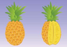 Illustration of pineapple and cuted pineapple isolated on white background. Exotic Fruits vector