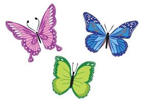 Set of three colorful butterfly.Vector illustration of three colorful butterfly isolated on white background vector