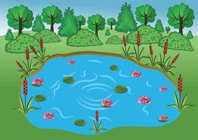 Nature landscape. Forest, lake, water lilies, rush vector