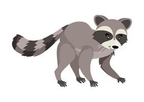 Cute Raccoon Cartoon Vector Graphics. Raccoon on white background