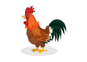 Colorful Rooster, poultry vector illustration on a white background