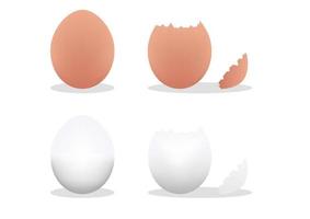 huevos. huevo, huevos, huevo roto. ilustración vectorial de huevos aislados sobre fondo blanco vector