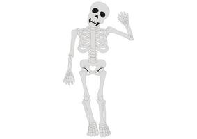 Hello Skeleton. Cartoon Skeleton. Vector illustration of skeleton