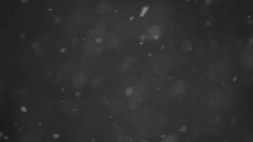 snowstom och snöflingor fallande bakgrund video