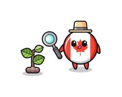 cute canada flag herbalist researching a plants vector