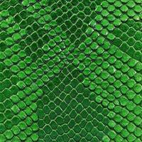 Green snake skin texture. Reptile and serpent scales surface. Graphic resource and background. vector
