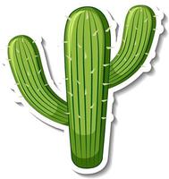 Saguaro cactus plant on white background vector