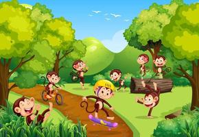 Forest scene with monkeys doing different activities vector