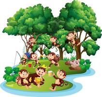 bosque aislado con muchos monos lindos vector