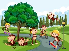 Monkeys doing different activities at the park vector