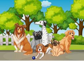 Park nature scene with many different dogs vector