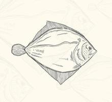 Illustration fish sketch food.Hand drawn element design menu. Isolated object in white background. vector