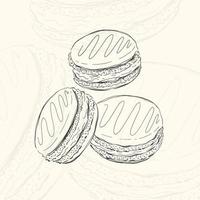 Illustration macarons sketch food.Hand drawn element design menu. Isolated object in white background. vector