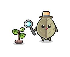 cute dried leaf herbalist researching a plants vector