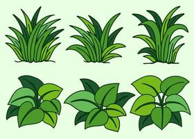 Grass and Bush Leaf Nature Green Set illustration vector