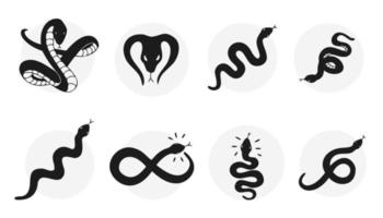 ilustración de conjunto de elementos incoloros de serpiente vector