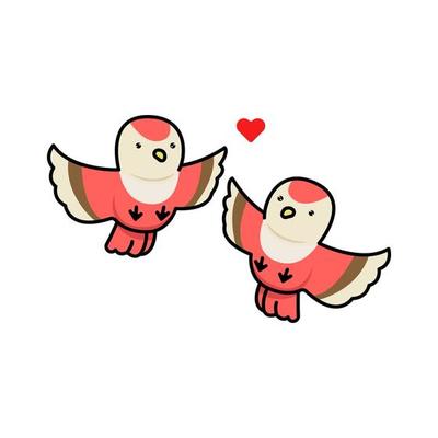 Cute couple birds