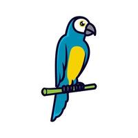 Cute macaw bird vector