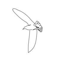 continuous line flying seagull simple style vector