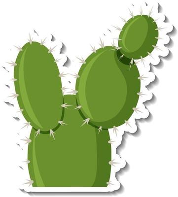 Opuntia cactus plant on white background