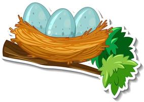 Bird eggs with nest on a tree branch vector