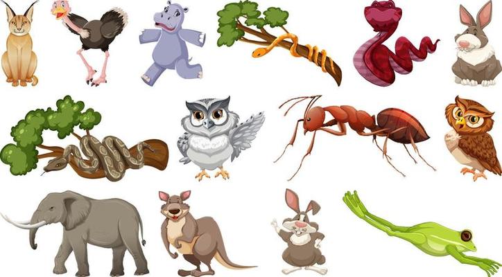 Set of different wild animals cartoon characters