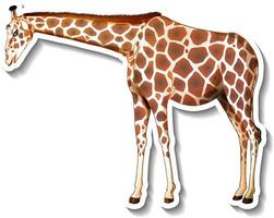 Giraffe animal cartoon sticker vector