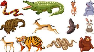 conjunto de diferentes personajes de dibujos animados de animales salvajes vector