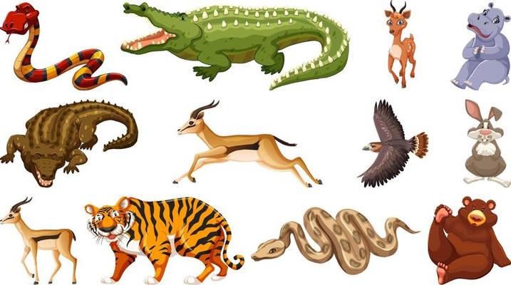 Set of different wild animals cartoon characters