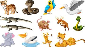 Set of different wild animals cartoon characters vector