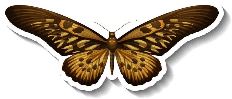 A sticker template with butterfly or moth isolated