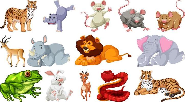 Set of different wild animals cartoon characters