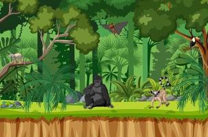 Tropical rainforest scene with various wild animals vector