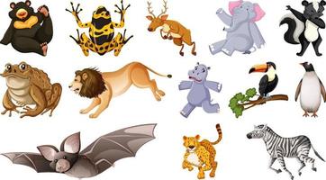 Set of different wild animals cartoon characters vector