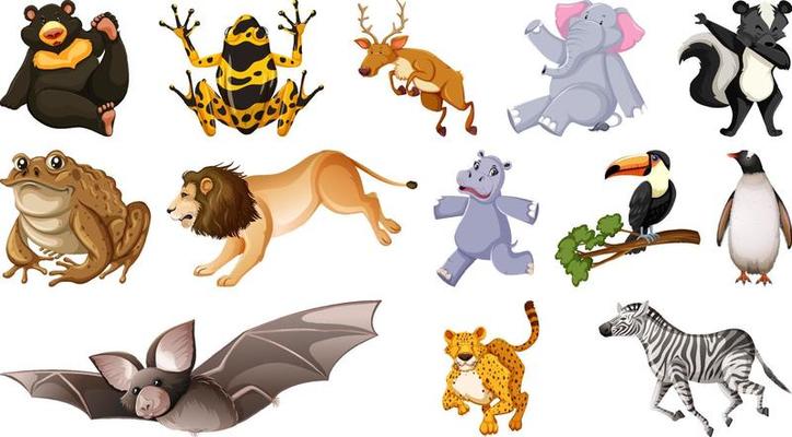 Set of different wild animals cartoon characters