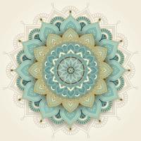 Delightful Mandala Background Design vector