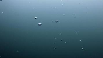 burbujas de aire bajo el agua que ascienden lentamente video