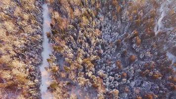 vista aérea del bosque y el camino. video
