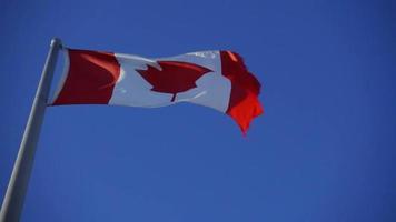 bandeira canadense em câmera lenta acenando acima