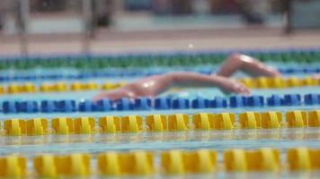 Side view of Swimmers in a Pool in Slow Motion video