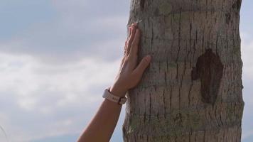 turista tocando el tronco de un árbol en el parque. el ser humano se preocupa por la naturaleza y el medio ambiente.