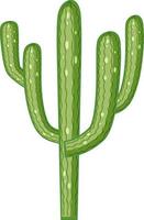 Cactus saguaro aislado sobre fondo blanco. vector