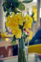 Beautiful yellow daffodils in a vase closeup photo