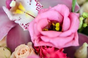 Pink eustoma in the beautiful tender bouquet in vintage style photo