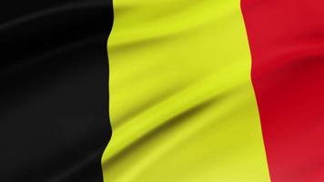 Belgium flag waving video